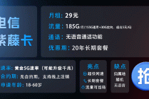 电信白金速率和黄金速率的区别